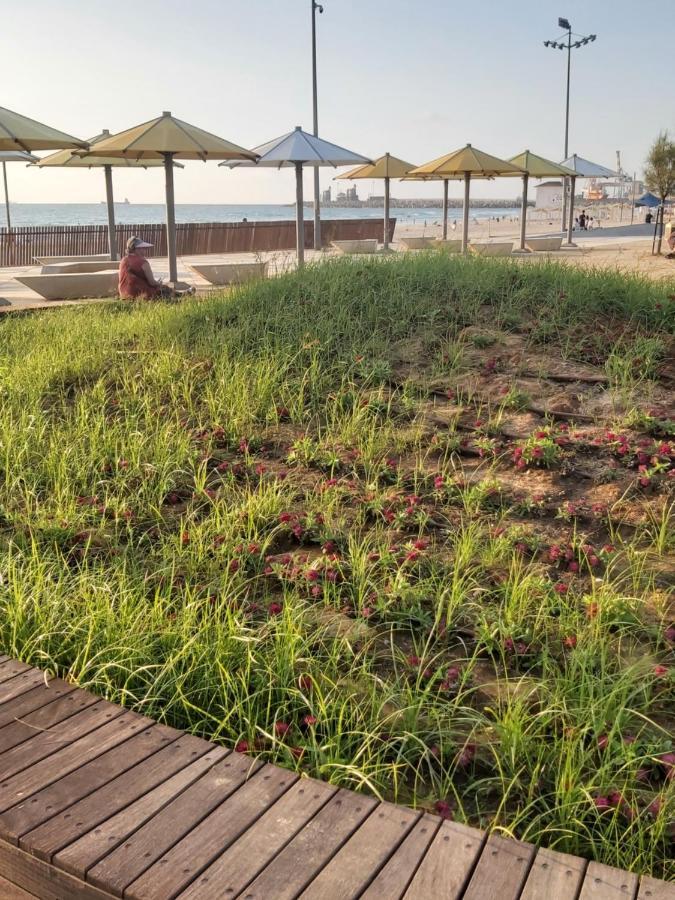 Studio By The Sea Ashdod Exterior foto